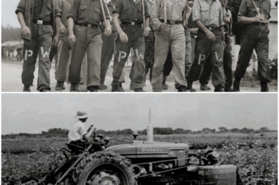 German POWs Mocked U.S. “lazy” Farmer—Until He Started His Engine DT