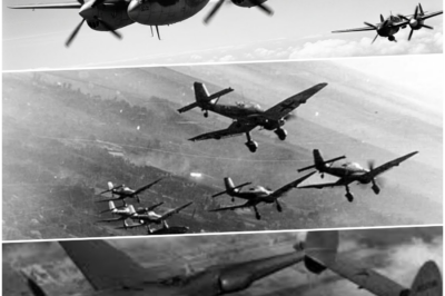 German Pilots Were Shocked When P-38 Lightning’s Twin Engines Outran Their Bf 109s DT