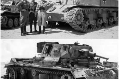 Rommel Inspected Captured Grant Tank — Reported Its 75mm Side Gun Makes Panzers Obsolete DT
