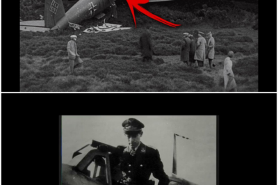 They Laughed at His “Piano Wire Neck Line” — Until It Silently Killed 8 German Night Scouts DT