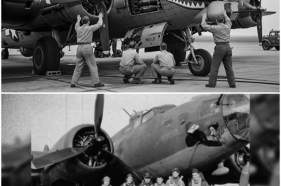Germans Set This B-17 on Fire With Bombs Inside — Until Its Pilot Saved His Crew One-Handed DT