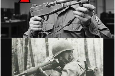 The $16 Gun America Never Took Seriously — Until It Outlived Them All DT