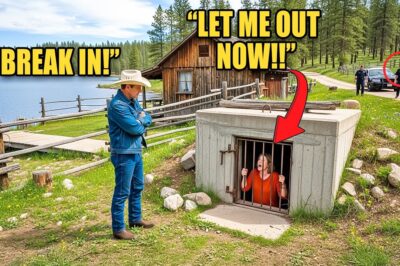 I Spotted Karen Breaking Into My Root Cellar – So I Shut The Door And Called The Cops | HOA Unfolded DT