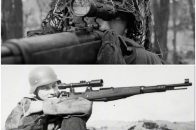 How One Farm Boy’s Stunning ‘1,100-METER SHOTS’ Killed 345 Soviets and Changed War DT