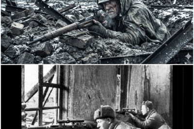 The Sniper Who Crawled Through Mud for 12 Hours to Take One Shot DT