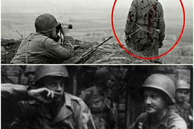 How a 20-Year-Old’s ‘Human Bait Trick’ Killed 52 Germans and Saved His Brothers in Arms DT