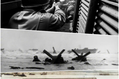 They Mocked His “Single Pistol Stand” — Until He Held a Trench Alone on D Day DT