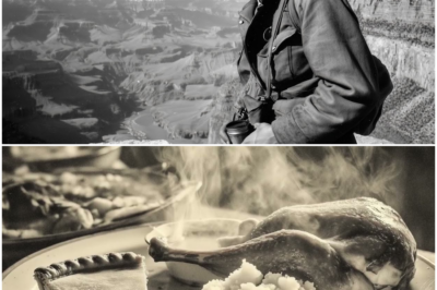 Nazi POWs in Arizona Were Taken to the Grand Canyon – They Couldn’t Believe it Was Real DT