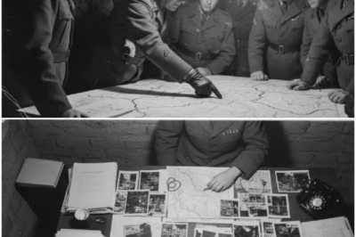 The Quiet Analyst Who Saved Patton’s Army from Hitler’s Last Gamble DT