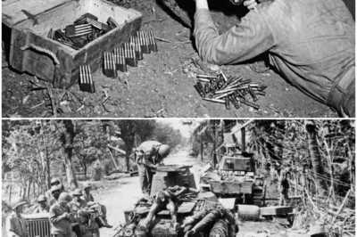 How a US Soldier’s ‘Reload Trick’ Killed 40 Japanese in 36 Minutes and Saved 190 Brothers in Arms DT