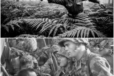 They Mocked His ‘Poison Tipped Knife’ — Until One Cut Dropped 9 Guards Instantly