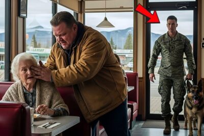Bully Slapped an Elderly Widow at Diner — Not Knowing Her Son Was a Navy SEAL DT