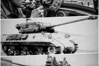 They Said the Shot Was ‘Impossible’ — Until He Hit a German Tank 2.6 Miles Away DT