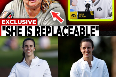 “She’s Replaceable?” The Leaked Owner Sentiment That Could Destroy the WNBA and Trigger a catastrophic Lockout BB