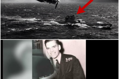 Why US Navy Pilots Invented “Suicidal” Dive Bombing for U-Boat Kills DT