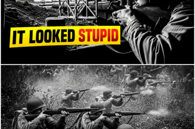 The Army Banned His “Hay Rack” Rifle — Until He Dropped 9 Japanese Snipers in Two Days DT