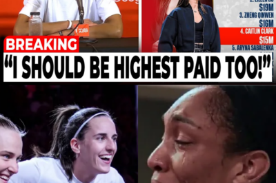 The $16 Million Reality Check: Why Corporate America Crowned Caitlin Clark and Left A’ja Wilson Behind BB