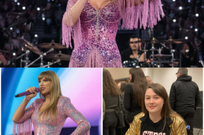 Wheelchair Fan Couldn’t See Taylor’s Concert – Security Footage Shows What She Did During the Song BB