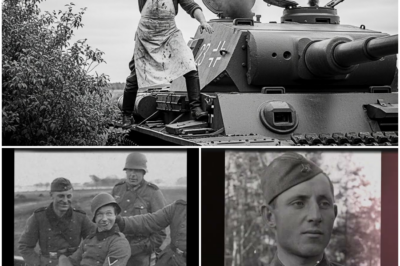 They Mocked His “Wood-Chopping” Axe — Until He Disabled A German Tank in Just 4 Minutes DT