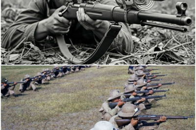 How a U.S. Sniper’s “Soup Can Trick” Took Down 112 Japanese in 5 Days DT