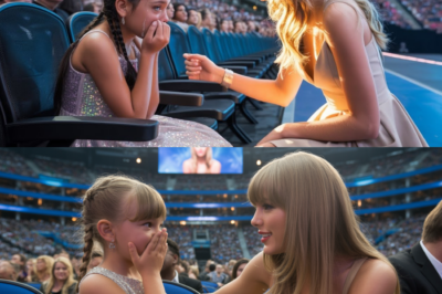 6-Year-Old LOSES Mom Before Concert — Taylor Swift Becomes Her Guardian Angel DT