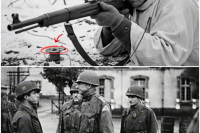 How a US Sniper’s ‘Telephone Line Trick’ Killed 96 Germans and Saved His Brothers in Arms DT