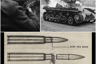 He Blew Up a Panzer with FOUR 7.62 SHOTS using “Secret Ammo” and was pulled from war by his own army DT