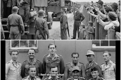 Why German POWs Begged America to Keep Them After WW2 DT