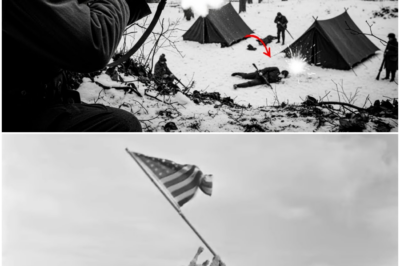 They Said One Man Could’nt Do It — Until His Winchester Model 12 Killed 62 Japanese in 3 Hours DT