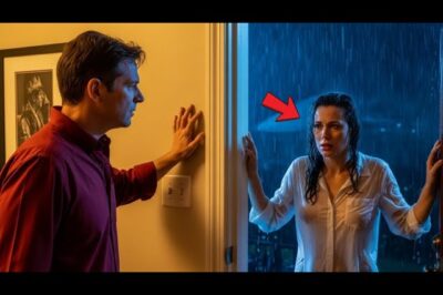 Single Dad’s Boss Knocked at Midnight — Then Said “Say That Again… While You Look at Me ” DT