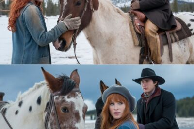 The Cowboy Found Her Walking in the Snow, “Where Are You Headed?” He Asked, “Wherever You Are”