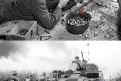 How a US Sniper’s ‘Helmet Trick’ Destr0yed 3 MG34s in 51 Minutes — Saved 40 Men With ZERO Casualties